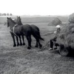 Reitsma Johannes
